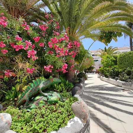 アロナParque Don Jose 390アパートメント エクステリア 写真